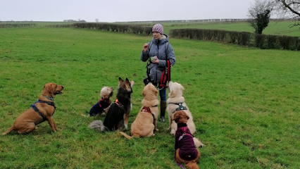 profile picture of Play And Walkies - Dog Walking in Yate