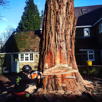 profile picture of Woodstock Tree Services