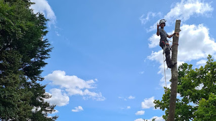 profile picture of Seb Fedrick Tree and Hedge maintenance