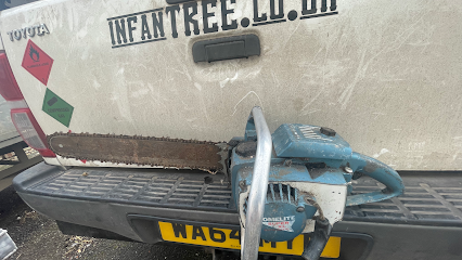 InfanTREE - TREE & FORESTRY SERVICES