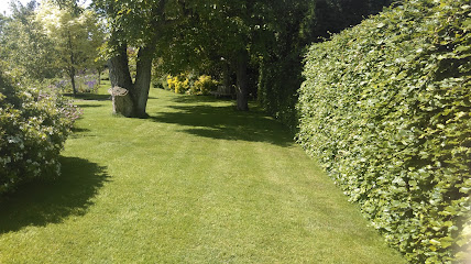 profile picture of Greensleeves Lawn Care Somerset profile picture