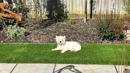 profile picture of Easigrass Artificial Grass Somerset profile picture