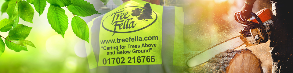 Tree Fella Ltd