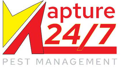 profile picture of Kapture 24-7 Pest Management profile picture