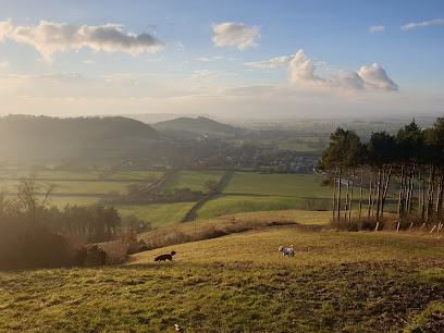 profile picture of Combe Hill Wood profile picture