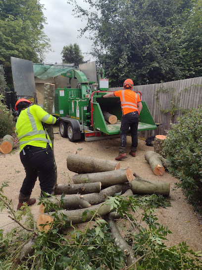 profile picture of CLV Treeworks - St Albans stump grinding profile picture