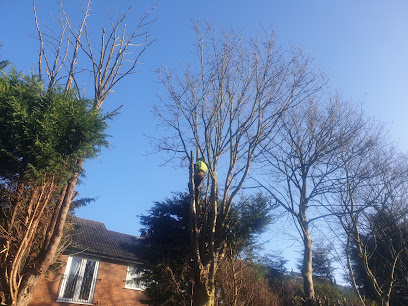 profile picture of Evergreen Landscape and Tree Services Ltd profile picture