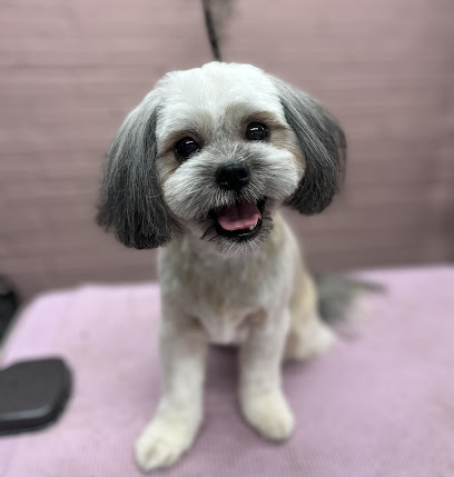 profile picture of Divine Dogs Pet Grooming