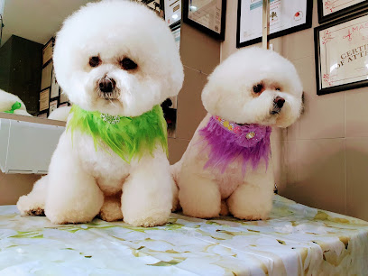 Head Or Tail Dog Grooming
