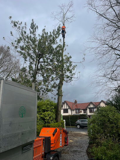 profile picture of Bostock Total Tree Services profile picture