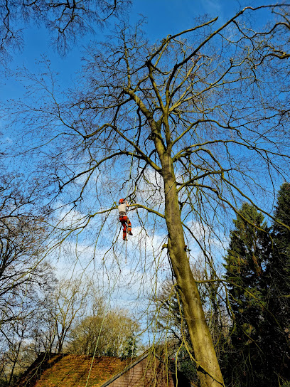 profile picture of ProArb Tree Services Tree Surgeon's Stockport profile picture