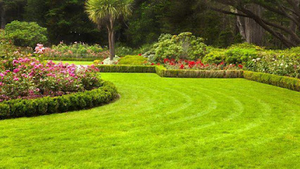 profile picture of Lush Lawns Ltd profile picture