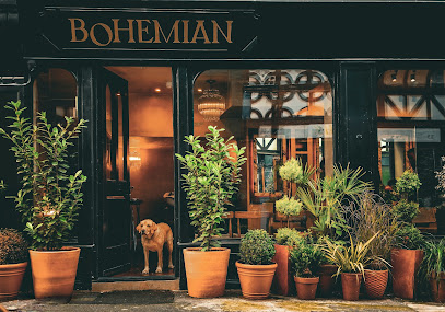 Bohemian Salon