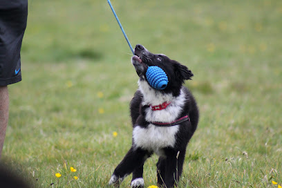 profile picture of Jackpot Dog Training and Walking profile picture