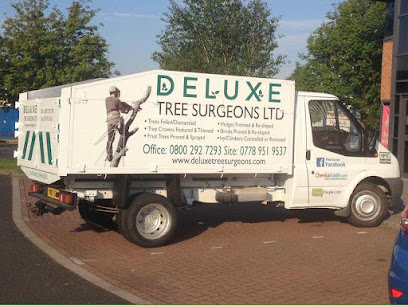 profile picture of Deluxe Tree Surgeons Ltd profile picture