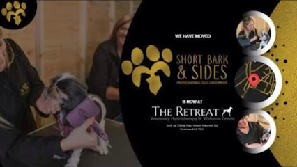 Short Bark & Sides Dog Grooming with Day Care