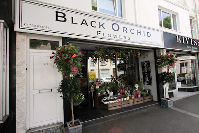 profile picture of Black Orchid profile picture