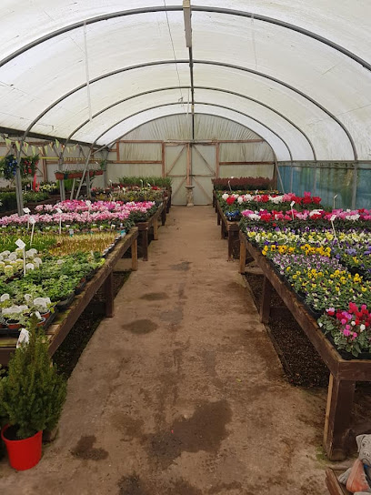 profile picture of Mockridge Nurseries Ltd profile picture