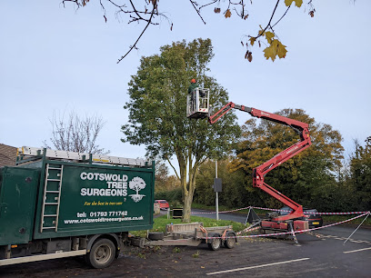 profile picture of Cotswold Tree Surgeons profile picture