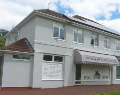 Medivet Torquay Moor Ln - Animal Health Centre