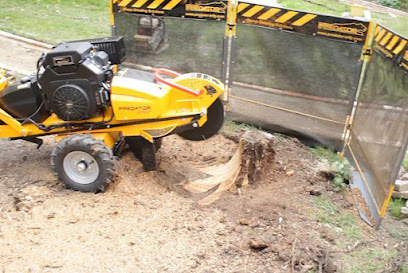 profile picture of The Tree Stump Removal Co profile picture