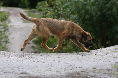 profile picture of Dog Training Made Simple profile picture