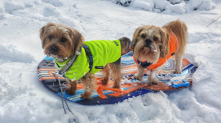 profile picture of Bailey and Barkers profile picture