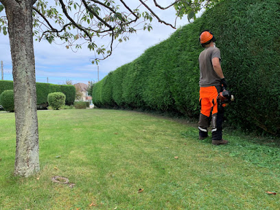 7 Hills Tree and Hedge Care