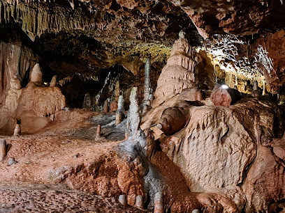 profile picture of Kents Cavern Prehistoric Caves profile picture