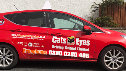 profile picture of Cats Eyes Driving School Ltd profile picture