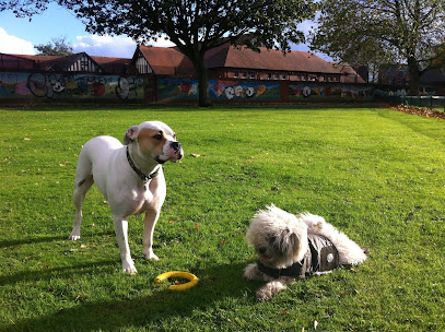 profile picture of Dog Walking Manchester profile picture