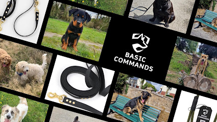 profile picture of Basic Commands LTD profile picture