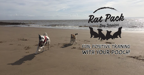 Rat Pack Dog Services