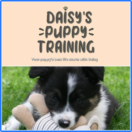 Daisy's Puppy Training