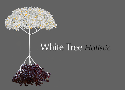 profile picture of White Tree Holistic profile picture