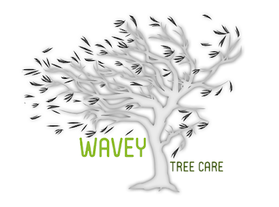 profile picture of Wavey Tree Care