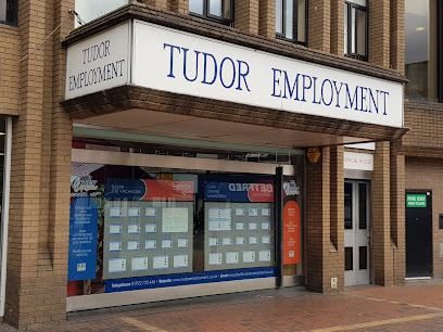 profile picture of Tudor Employment Agency Ltd profile picture