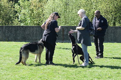 profile picture of Lee Valley Dog Training School profile picture