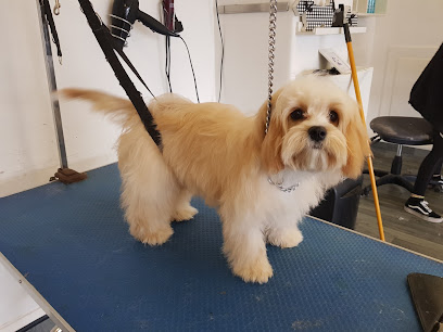 profile picture of Mucky Mutz Dog Grooming Warrington profile picture