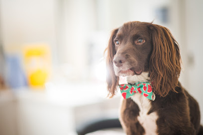 profile picture of Bryn Veterinary Centre profile picture