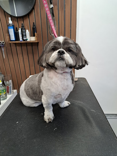 profile picture of Glamour Pups Dog Grooming profile picture