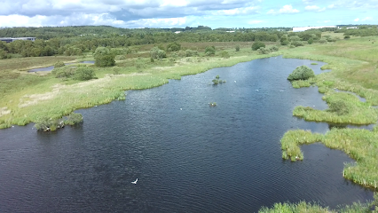 profile picture of Tailend Moss Wildlife Reserve profile picture