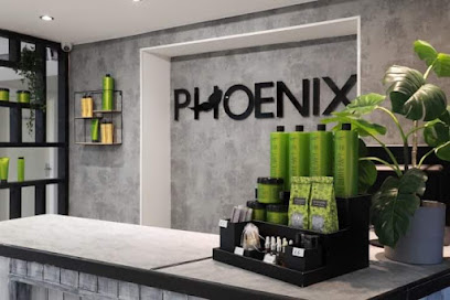 Phoenix Beauty Salon Wigan