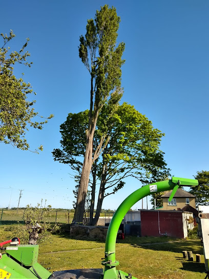 profile picture of Scunthorpe Tree Surgeons profile picture