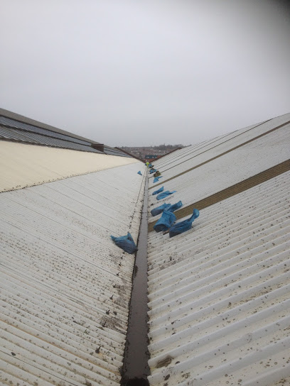 profile picture of LG Gutter Cleaning Services Ltd profile picture