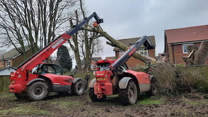 profile picture of M Croft Tree Services ltd profile picture