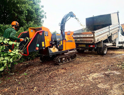 profile picture of Lindsey Tree Services Ltd profile picture