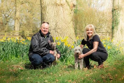 profile picture of We Love Pets Altrincham - Dog Walker, Pet Sitter profile picture