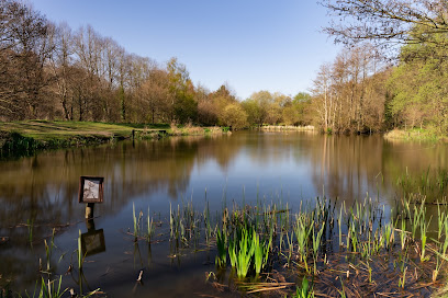 profile picture of Brookwood Country Park profile picture