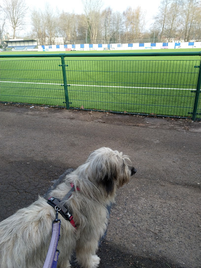 profile picture of Happy Hounds Sutton Coldfield Dog Training